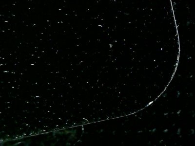 SN17011