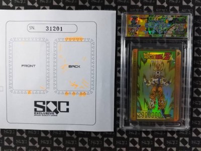SN31201