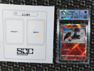 SN31305
