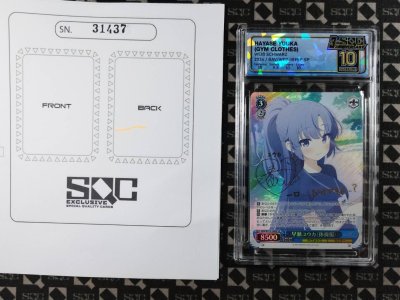 SN31437