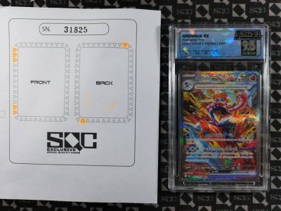 SN31825