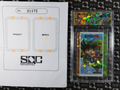 SN31172