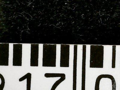 SN31201