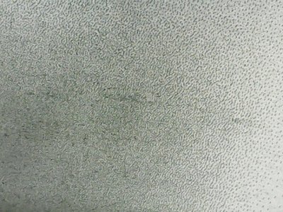 SN31987