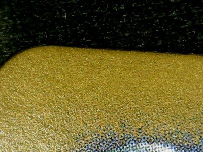 SN31995