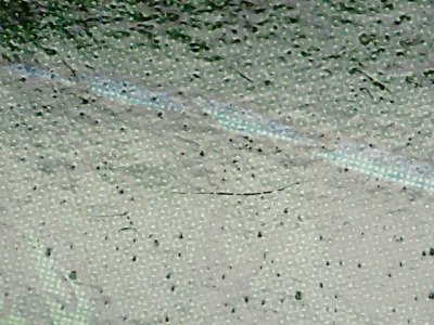 SN32013