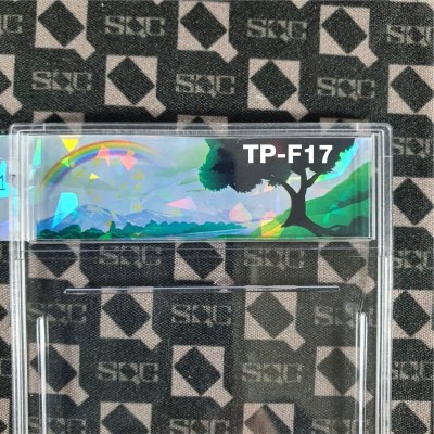 TP-F17