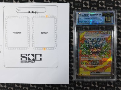 SN31646