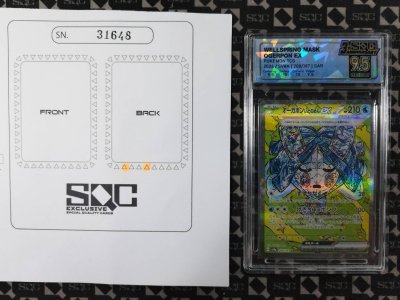 SN31648