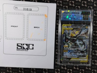 SN31619