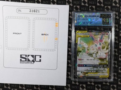 SN31621