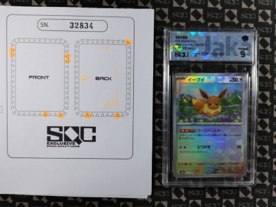 SN32834