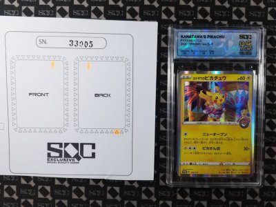 SN33005