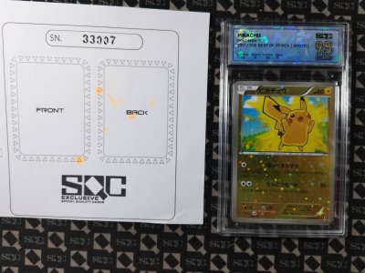 SN33007