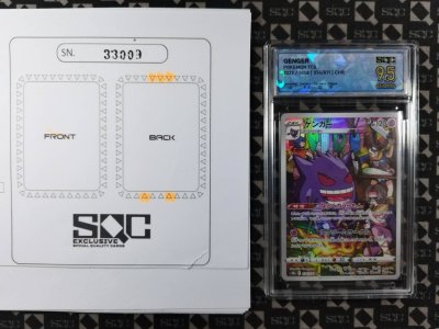 SN33009