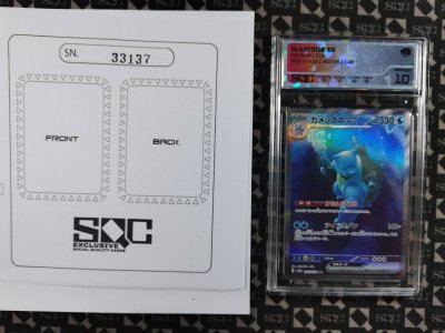 SN33137