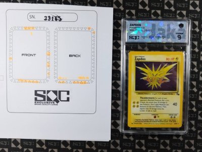 SN33165