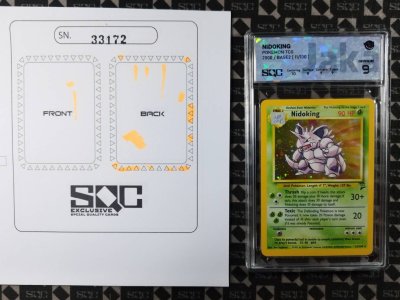 SN33172