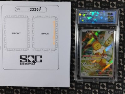 SN33209