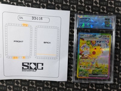 SN33446