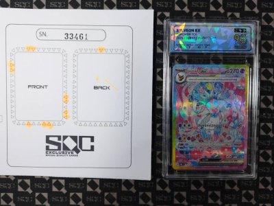 SN33461