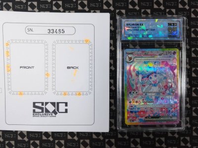 SN33485