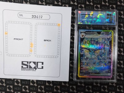 SN33487