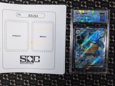 SN33493