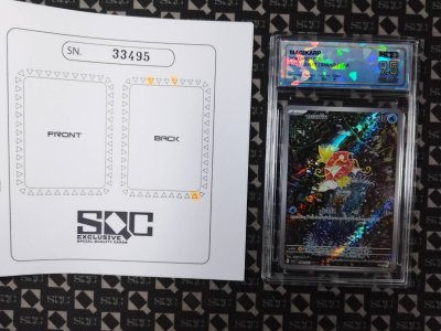 SN33495