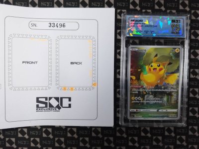 SN33496