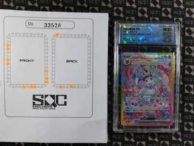 SN33528
