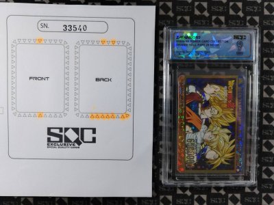 SN33540