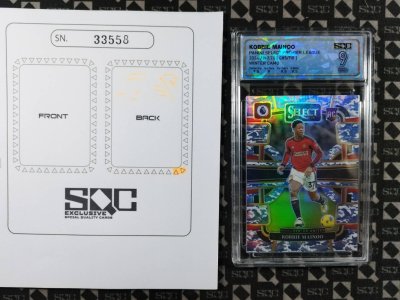 SN33558