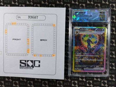 SN33607