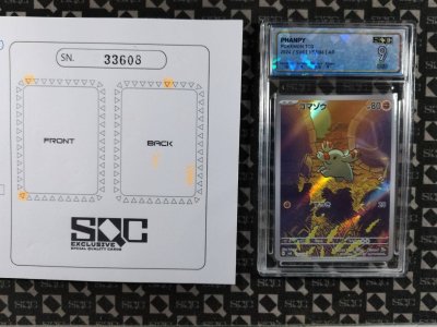SN33608