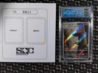 SN33611