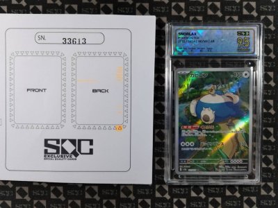 SN33613