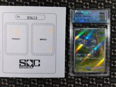 SN33623