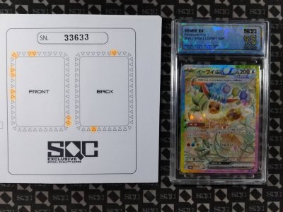 SN33633