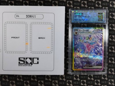 SN33641