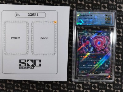 SN33651