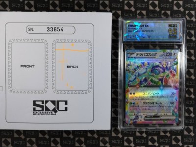 SN33654