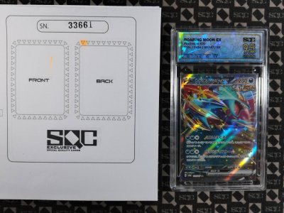 SN33661