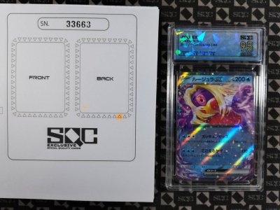 SN33663
