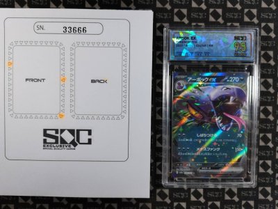 SN33666