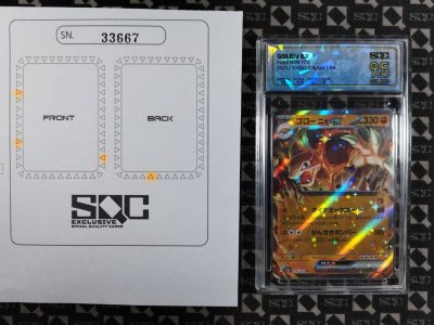 SN33667