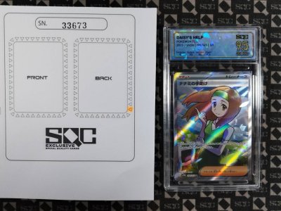 SN33673