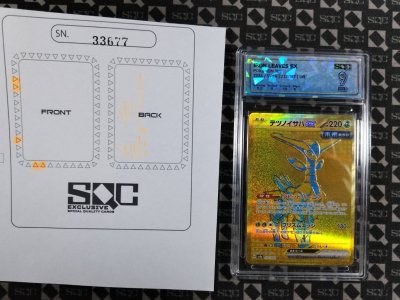 SN33677