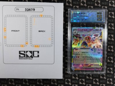 SN33679