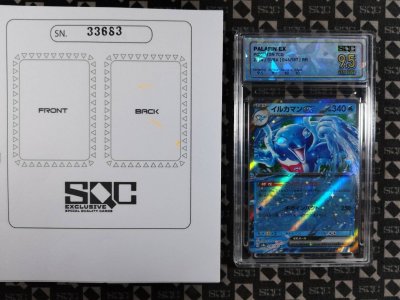 SN33683